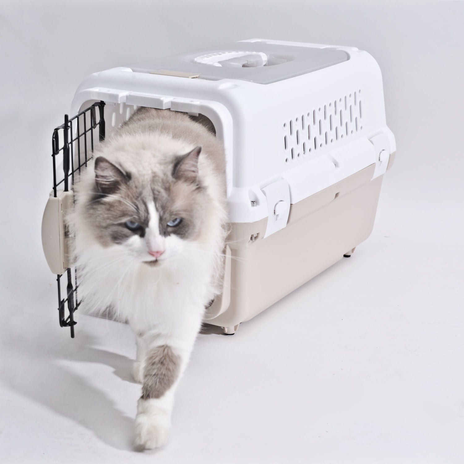 Travel cages for Cats