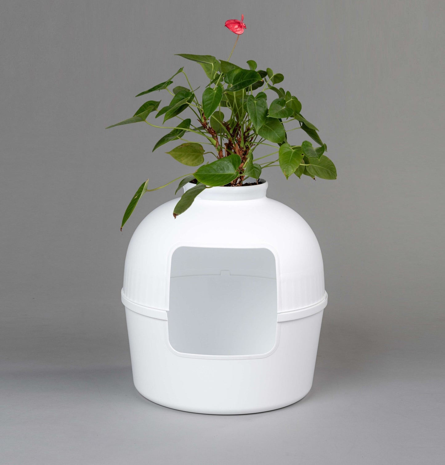 Kattenbak Flower XXL, verborgen kattentoilet (Wit)