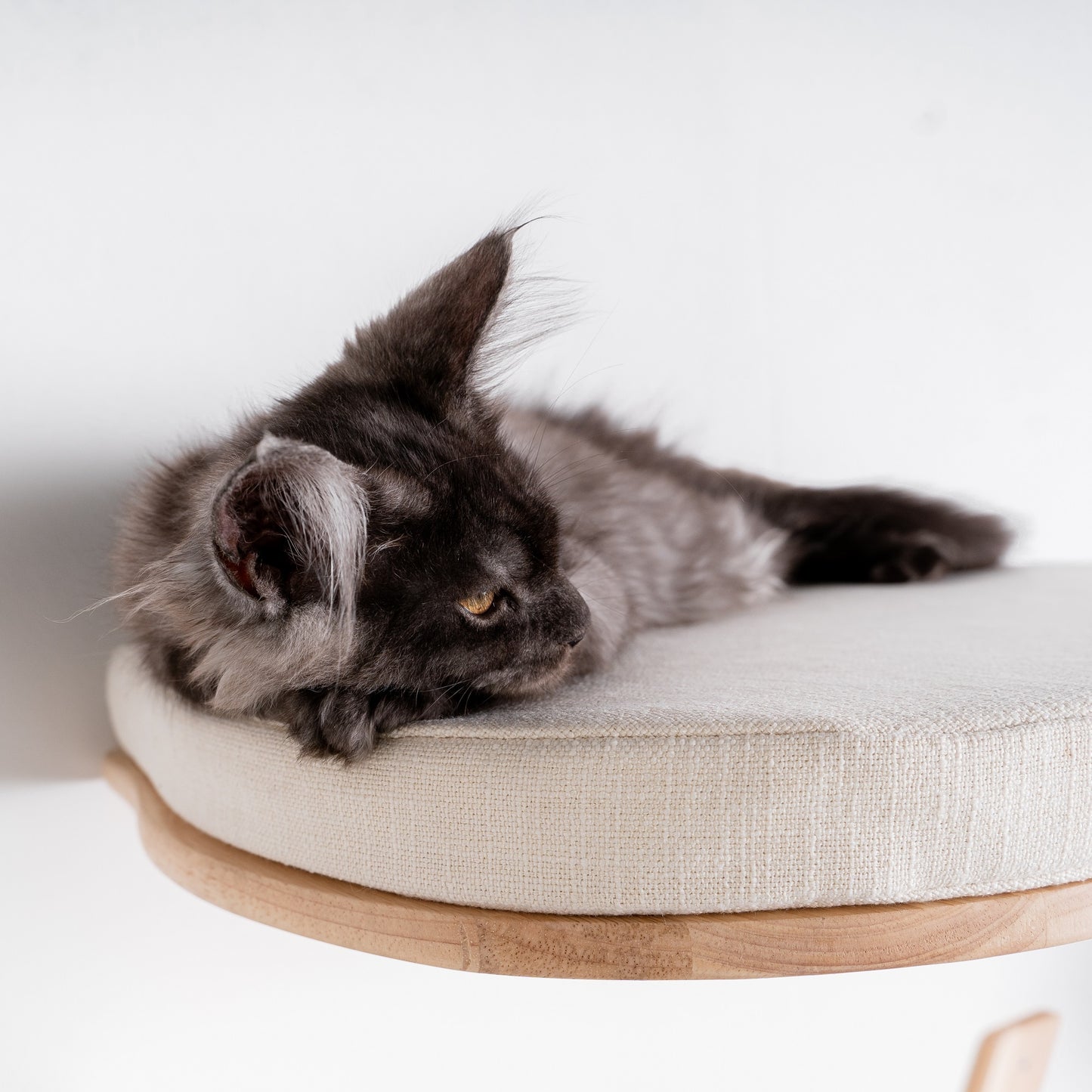 Cat Climbing Wall - Luxury Cat Wall Bed (Beige)