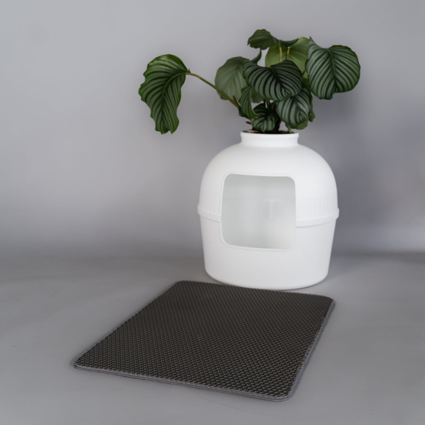 Katzenstreu Matte Dirty Paw 75x55cm