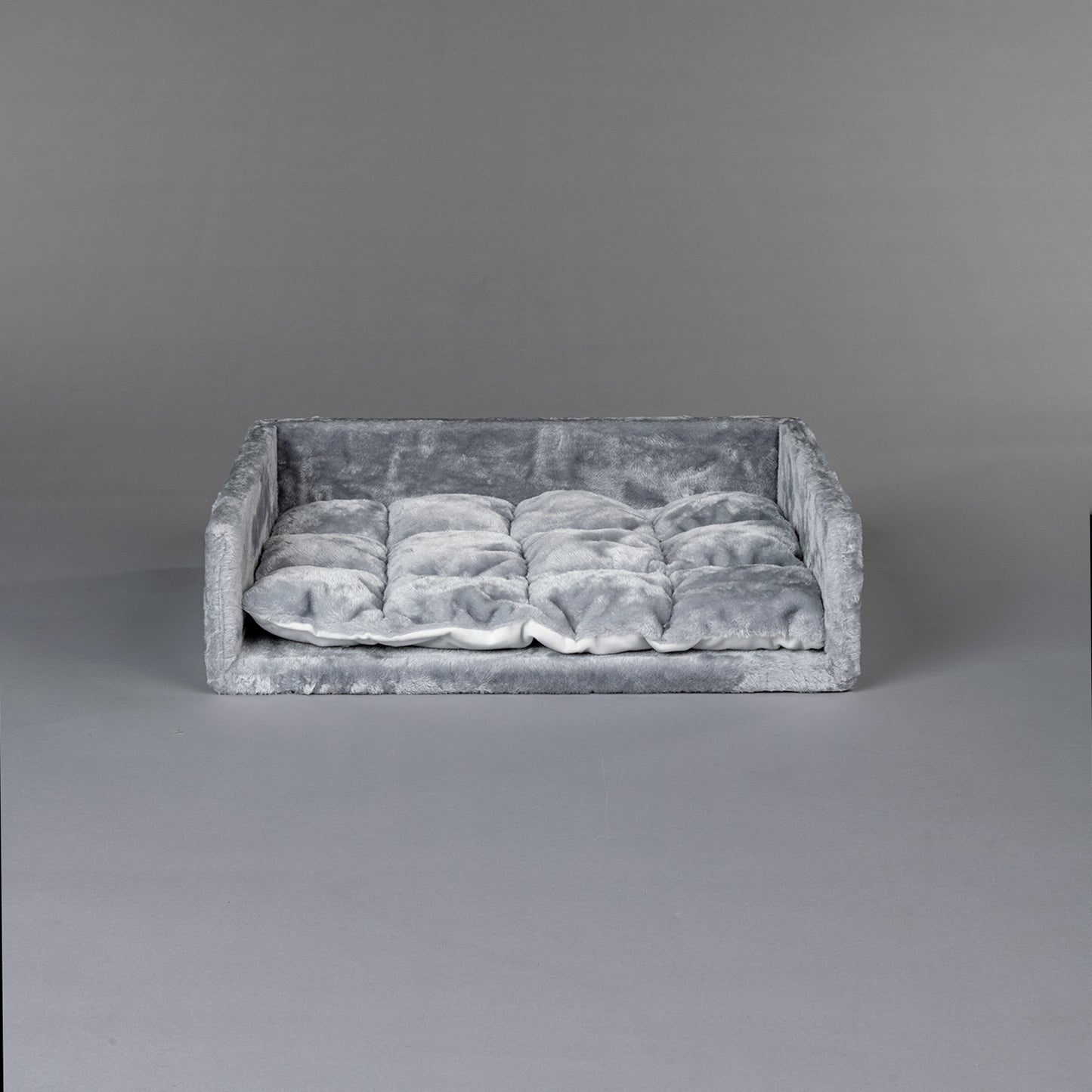 Lounge lumineux pour Devon Rex (y compris Kussen)