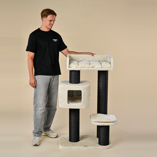 Cat Tree Devon Rex Blackline (Cream)