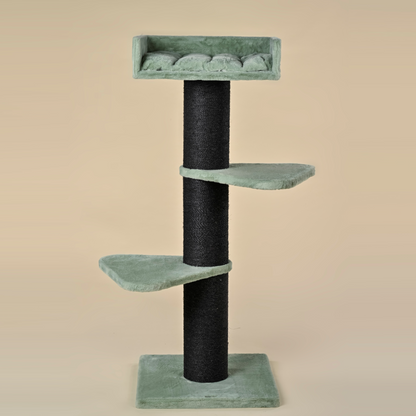 Cat tree Royalty Blackline (Pistachio Teddy)
