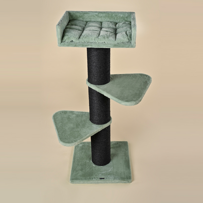 Cat tree Royalty Blackline (Pistachio Teddy)