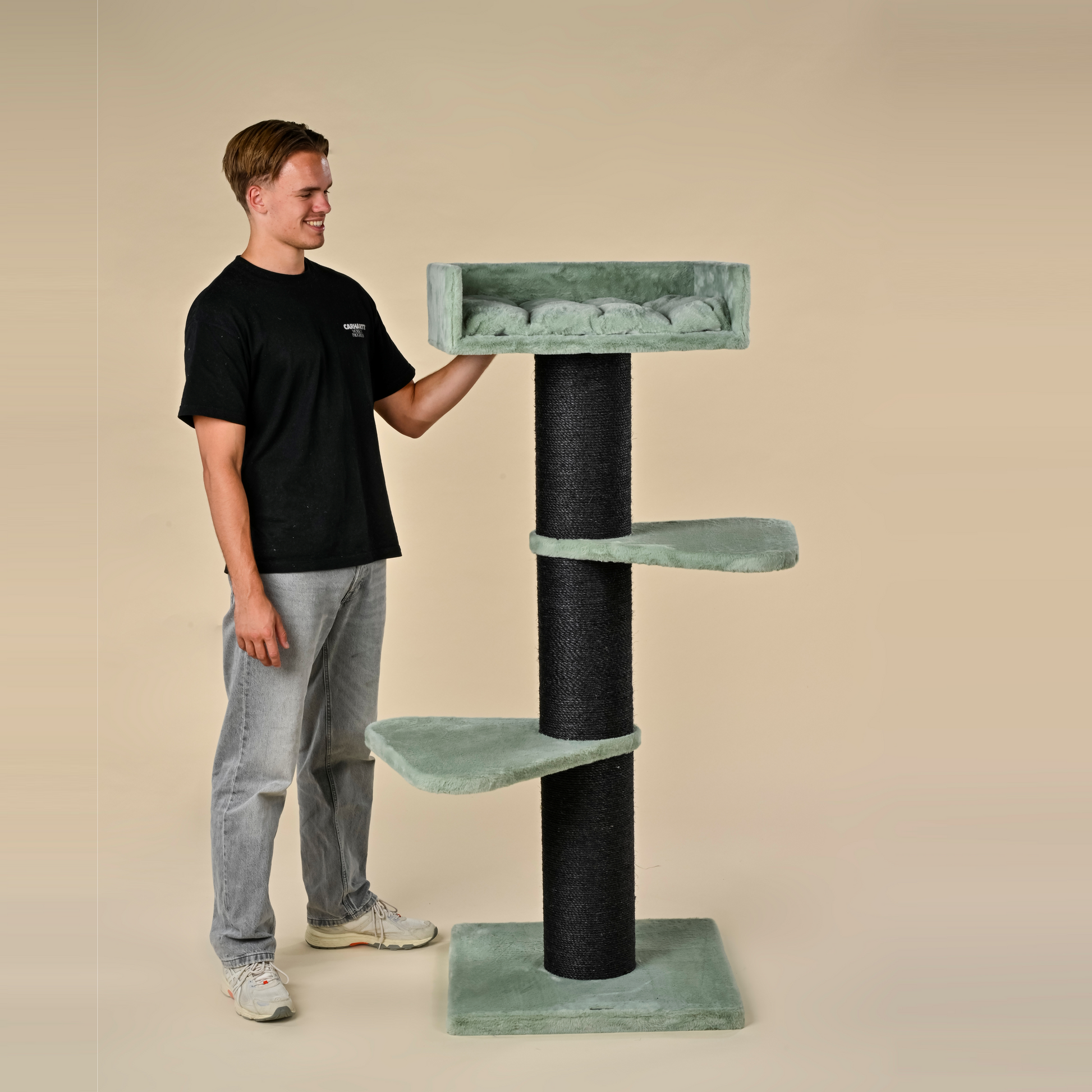 Cat tree Royalty Blackline (Pistachio Teddy)