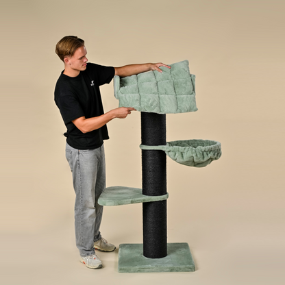 Cat tree Royalty Blackline De luxe (Pistachio Teddy)