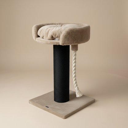 Drzewo dla Kota Chartreux Blackline (Karmelowy Miś)