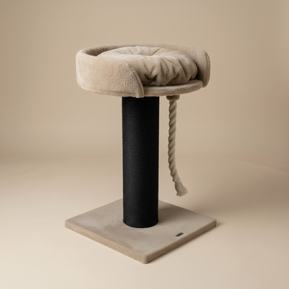 Drzewo dla Kota Chartreux Blackline (Karmelowy Miś)