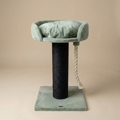 Drzewo dla Kota Chartreux Blackline (Pistacjowy Miś)