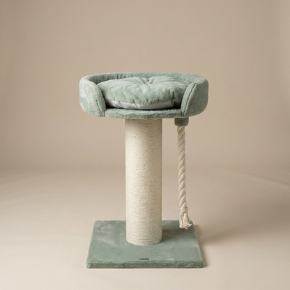 Drzewo dla Kota Chartreux (Pistacjowy Miś)