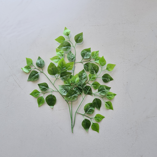 Bladeren (Set van 1st), Natuurlijke bladeren (Groen)