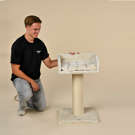 Cat Tree Ragdoll Lounge (Beige)