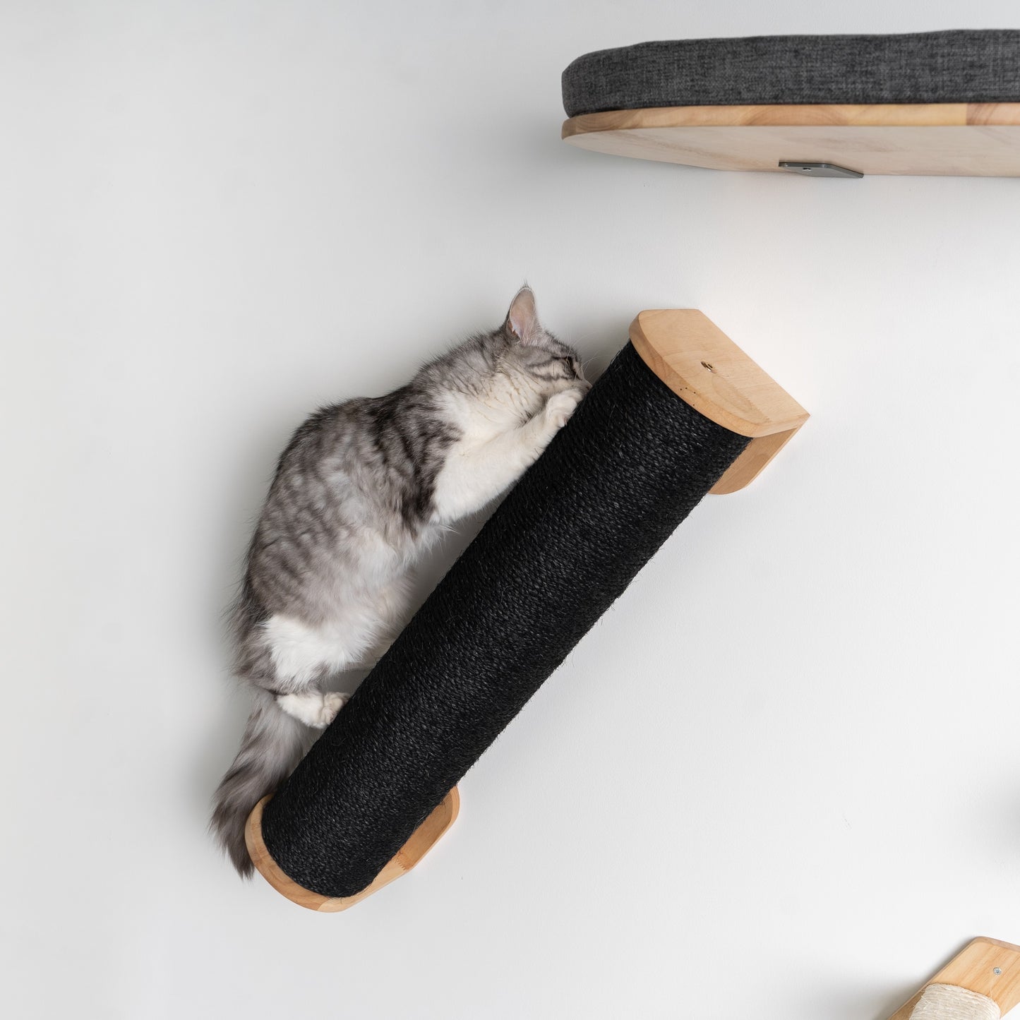 Cat Climbing Wall - XXL Wall Sisalpole (Blackline)