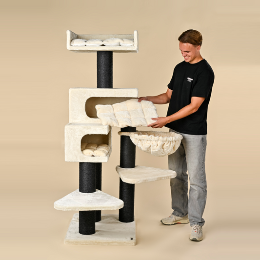 Cat Scratcher Birman Citadel Blackline (Beige)