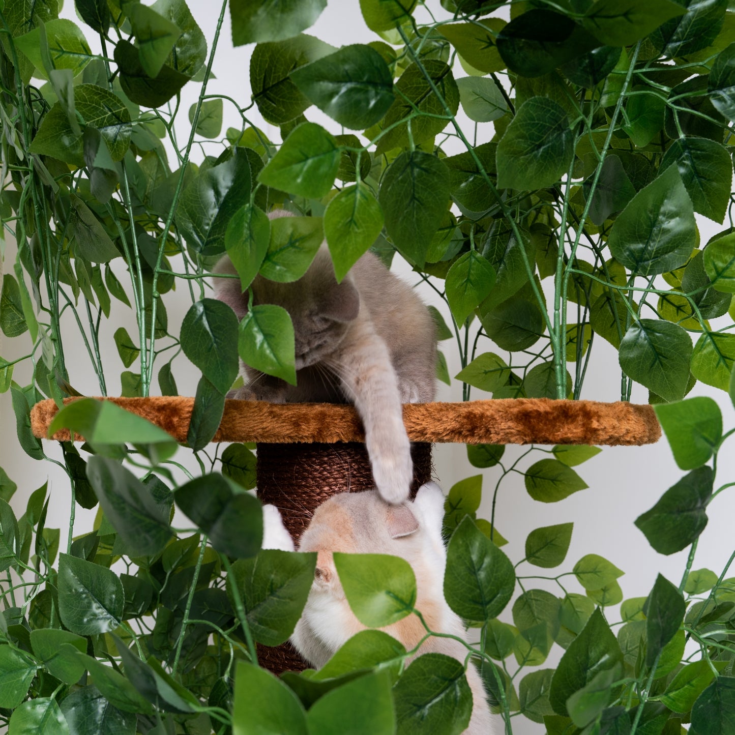 Design Cat Tree Natural Leaves (Brown)