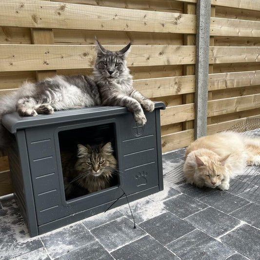 Kattenhuis Villa de Luxe für binnen und buiten (Donkergrijs)