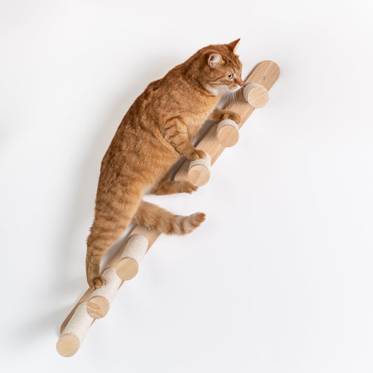 Wandmeubel Klimmuur Kat - Jeu d'échelles (Beige)