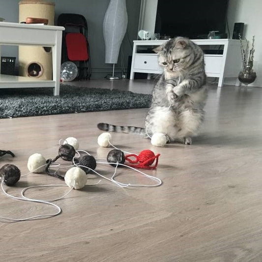 Kattenspeelgoed Sisal en Stoffen Balletjes Set (Meerkleurig)